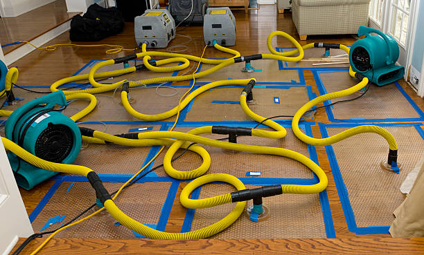 Professional Structural Drying And Dehumidification technician working in Dry Creek, WV